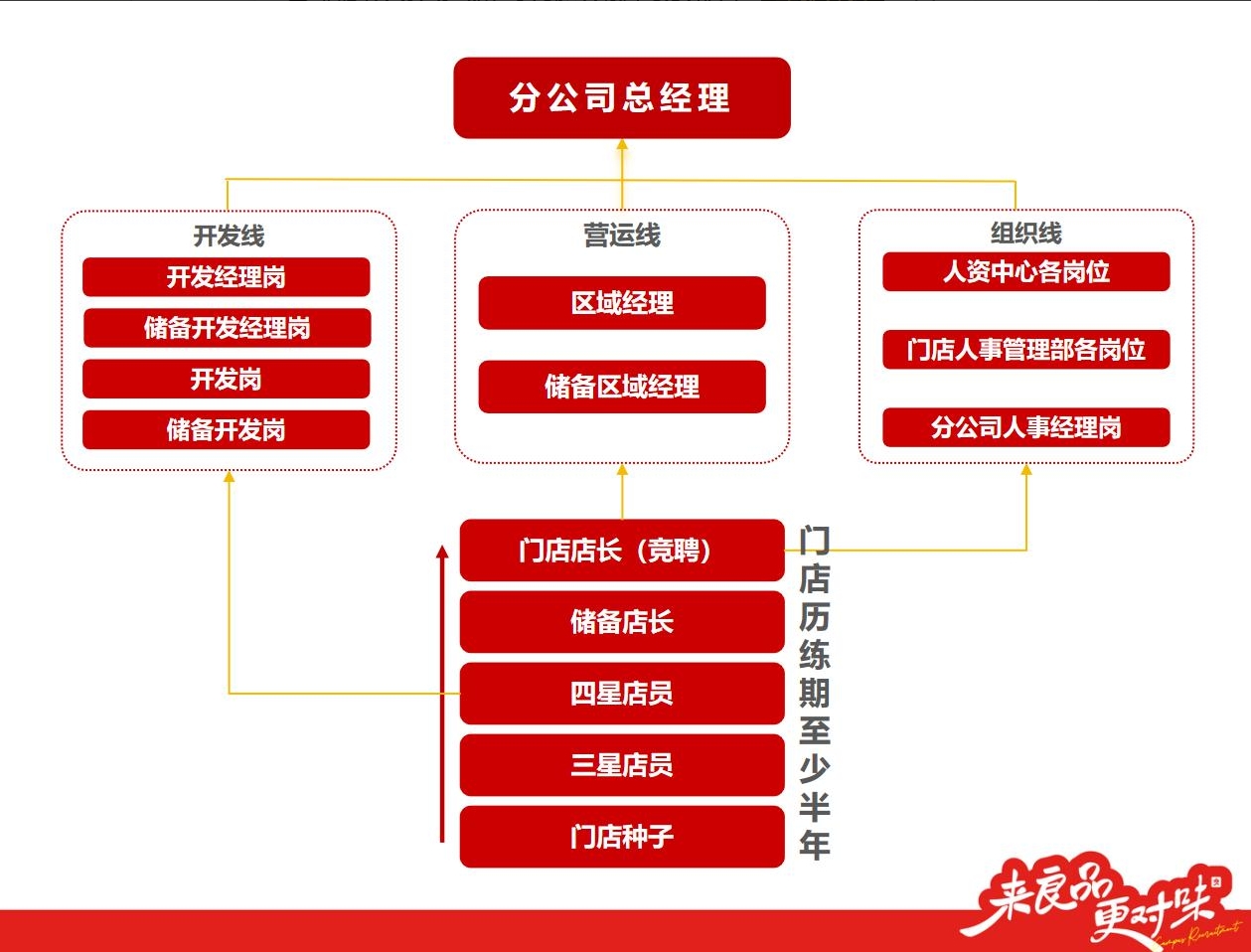 <p>分公司总经理</p> <p>开发线营运线组织线</p> <p>开发经理岗人资中心各岗位</p> <p>区域经理</p> <p>储备开发经理岗</p> <p>门店人事管理部各岗位</p> <p>开发岗储备区域经理</p> <p>储备开发岗分公司人事经理岗</p> <p>门店店长(竟聘)门</p> <p>店</p> <p>储备店长历</p> <p>练</p> <p>四星店员期</p> <p>至</p> <p>三星店员少</p> <p>半</p> <p>门店种子年</p> <p>来良好味</p>