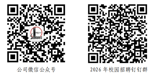 1758852826719832.png image.png